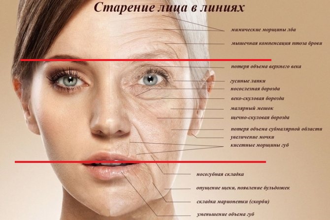 Косметолог консультация Признаки старения. Методики омоложения. Анализ  рынка anti-age услуг.